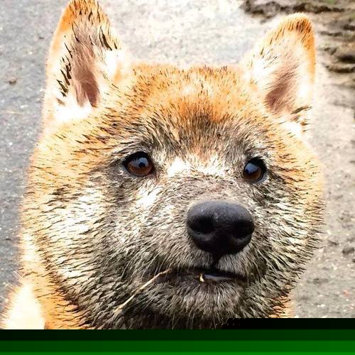 东方魔法闪耀迈阿密！天津队惊世逆转，拉文绝杀封神