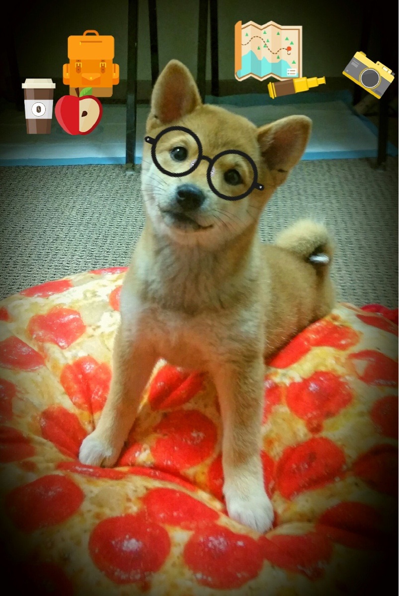 爱游戏APP-阳光双赛VS室内雷霆，鲁德的火焰与拉沃尔杯的崛起