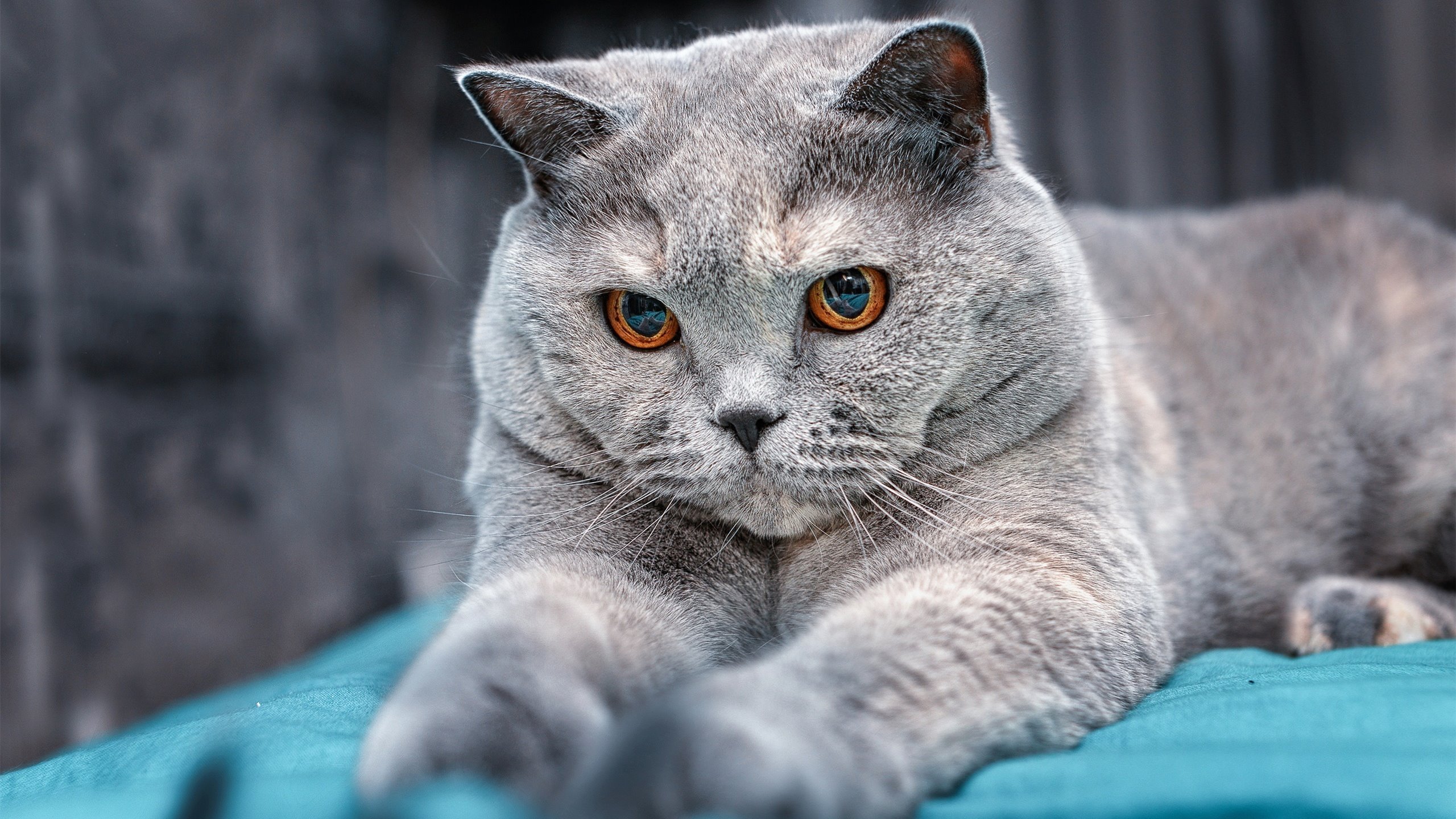 两场夜色,一种注解