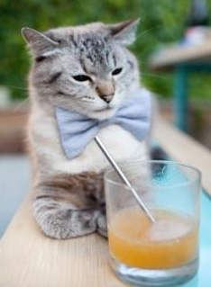 当伯纳乌的月光照进北伦敦的旧巷，一场撕裂足球次元壁的错误狂欢