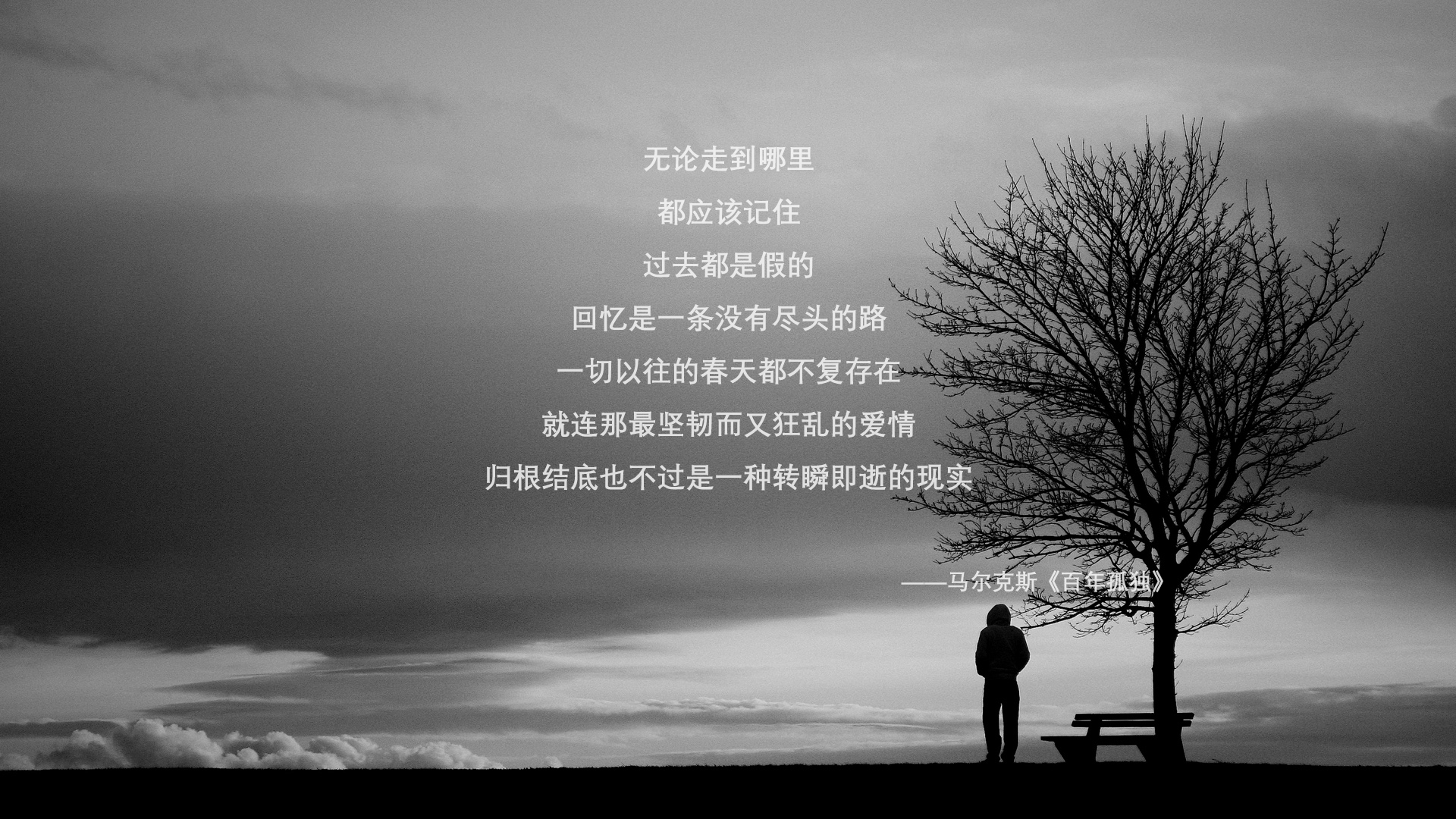 黑色羽翼,当欧冠淘汰赛之夜被一名沉默者的怒吼照亮