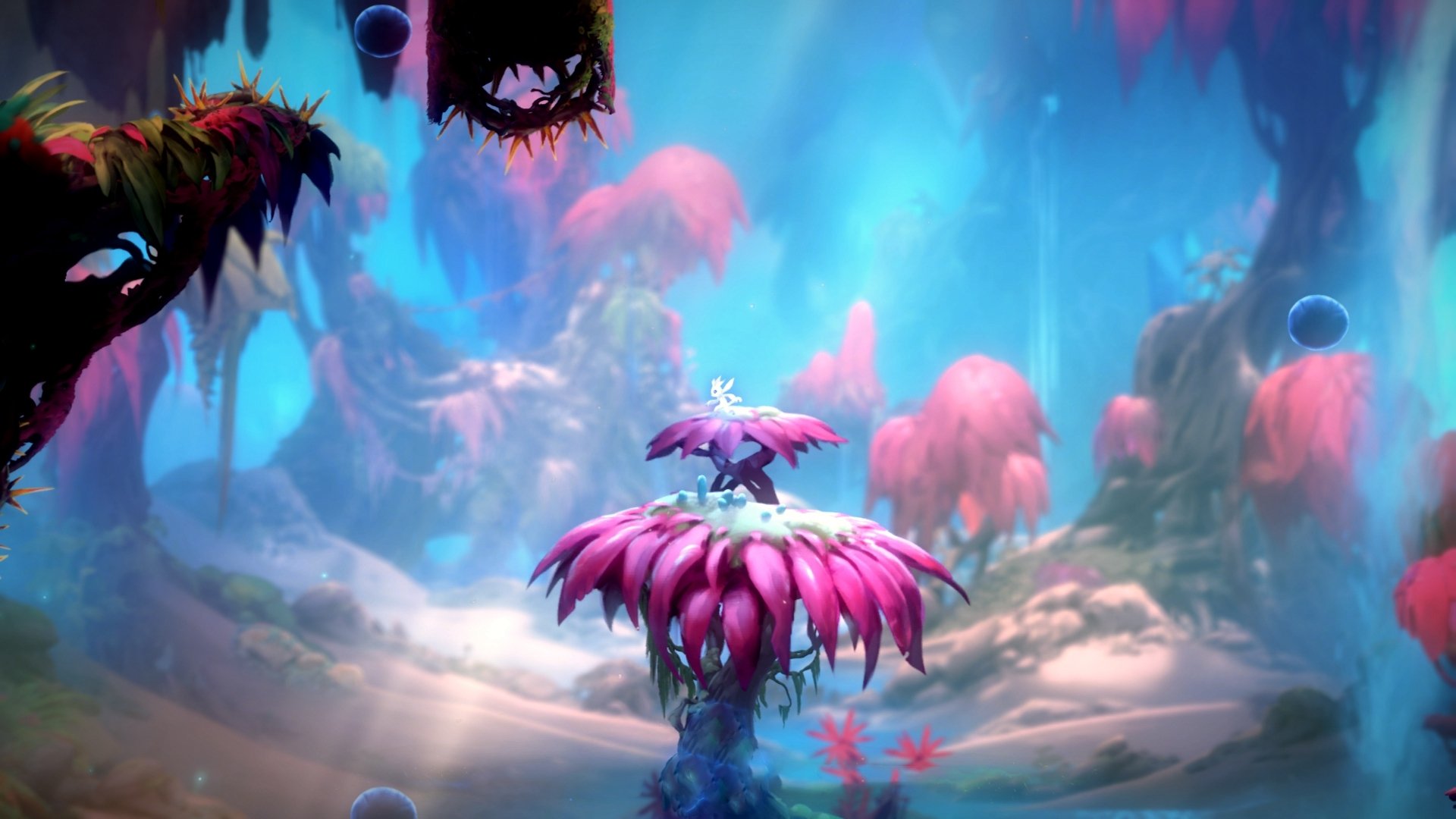 西决生死夜,金玟哉化身黑暗骑士