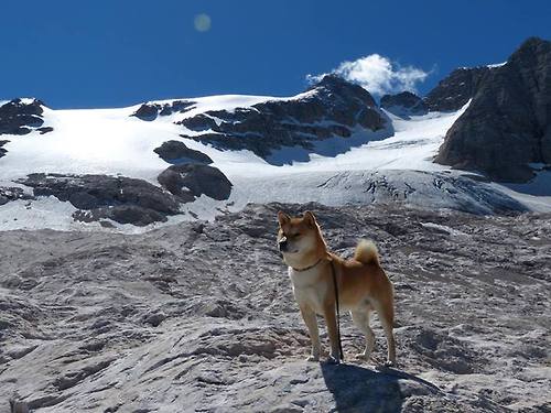 戈贝尔的2026预言，在杭州想起明年的世界