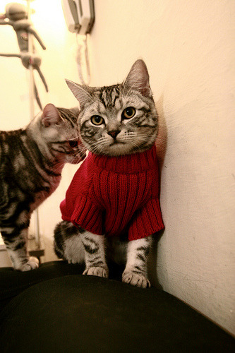 双重奇迹，里昂的绝地反击与伊萨克的跨界救赎