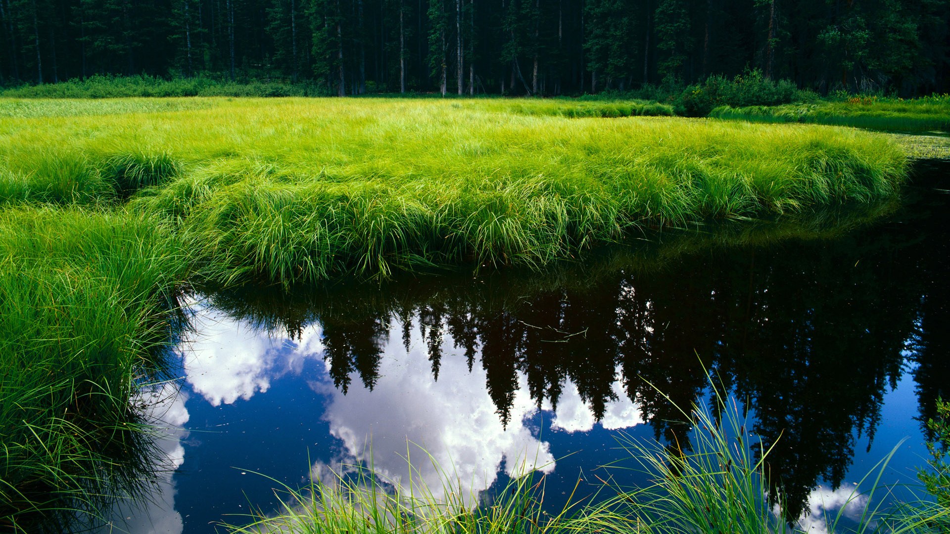 风暴之眼,皮克满分指挥,马里连续攻击波淹没厄瓜多尔