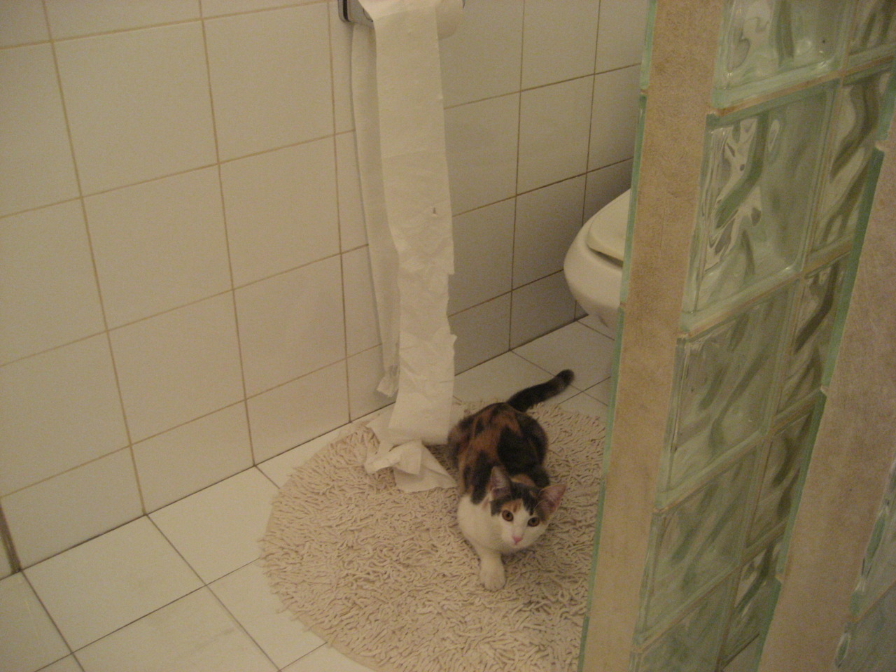 唯一闪光！迪巴拉绝杀乾坤倒转，曼城凭一击终结皇家社会