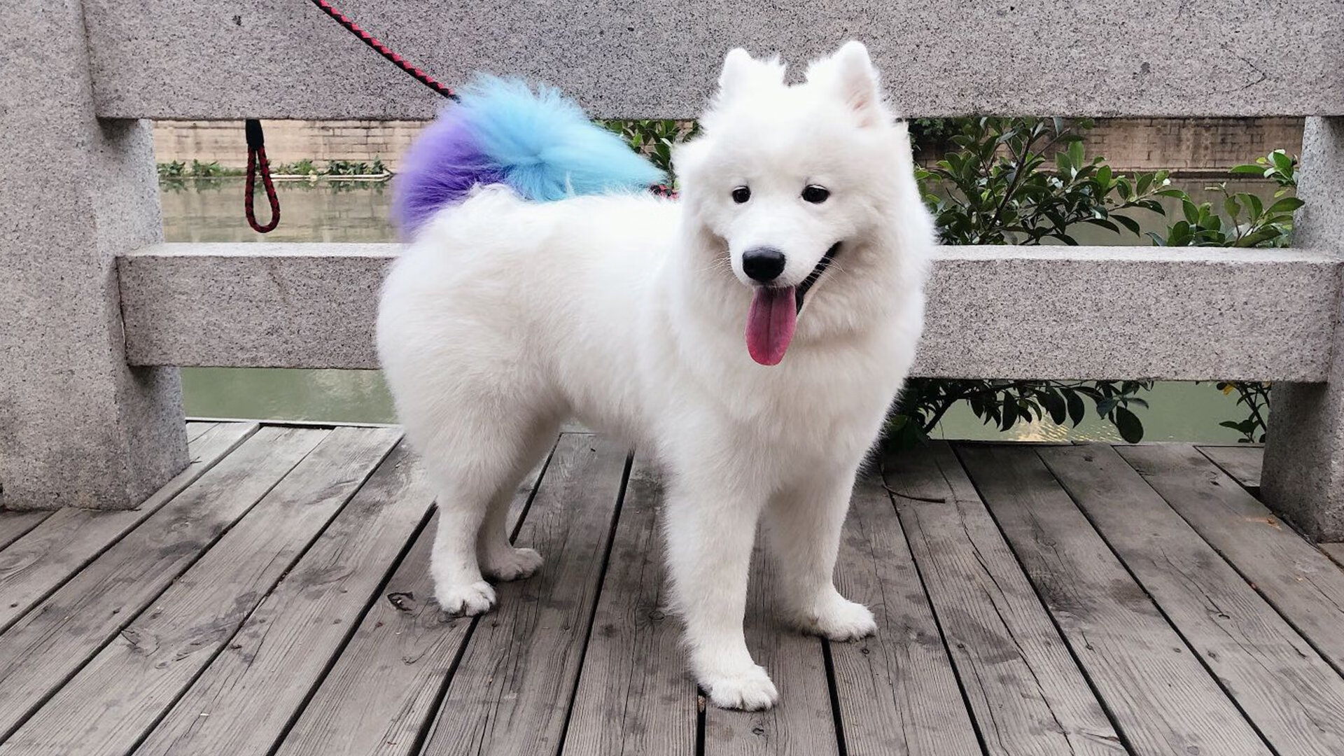 爱游戏入口-当神话防线遭遇南美烈焰，迪亚斯单骑叩关，哥伦比亚点燃古典之战