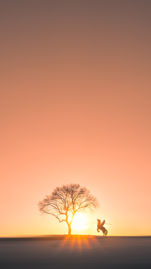 告别，伯纳乌的最后一战