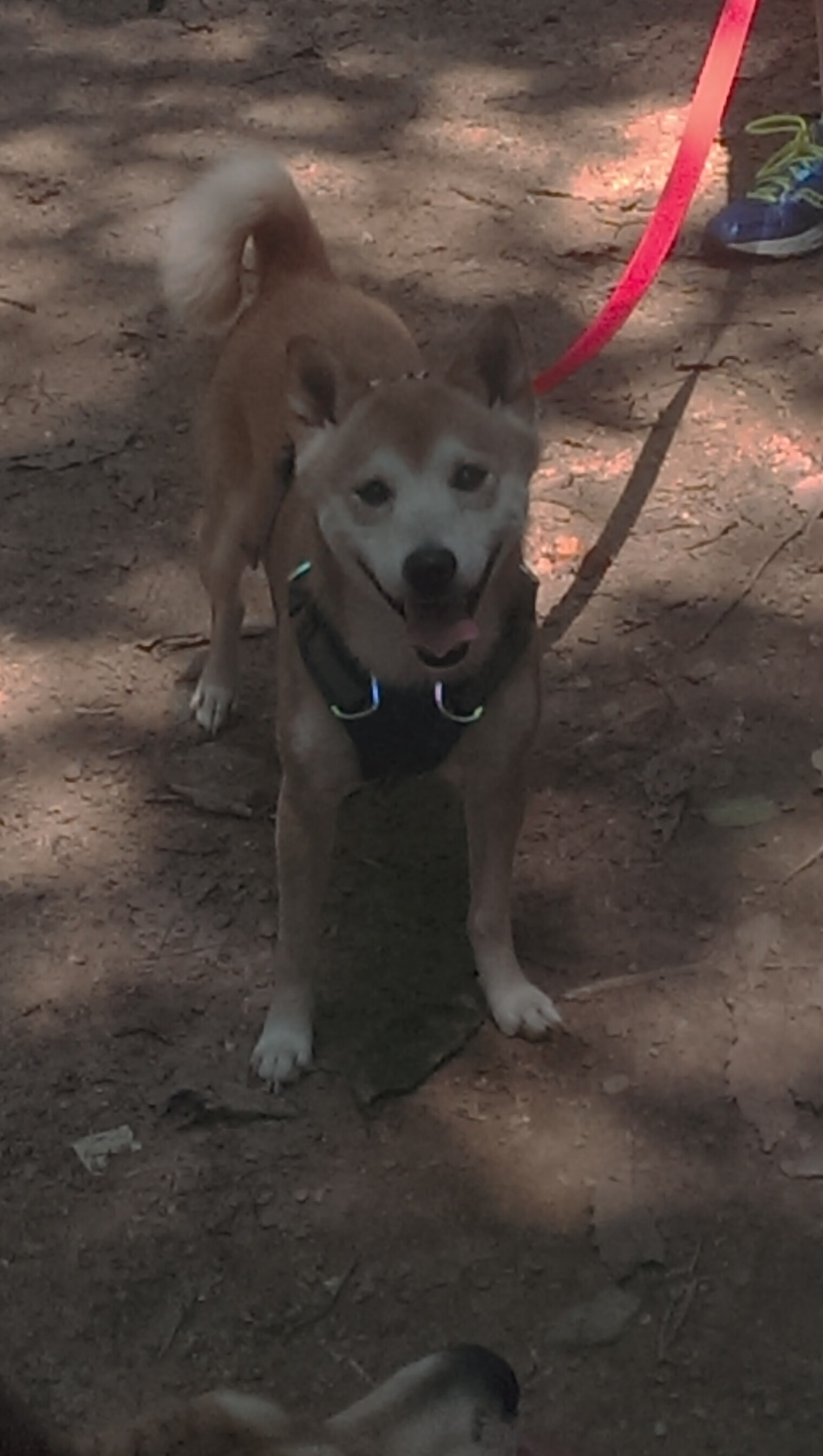 团队之魂，奇才以活塞之战映照库里式证明之路