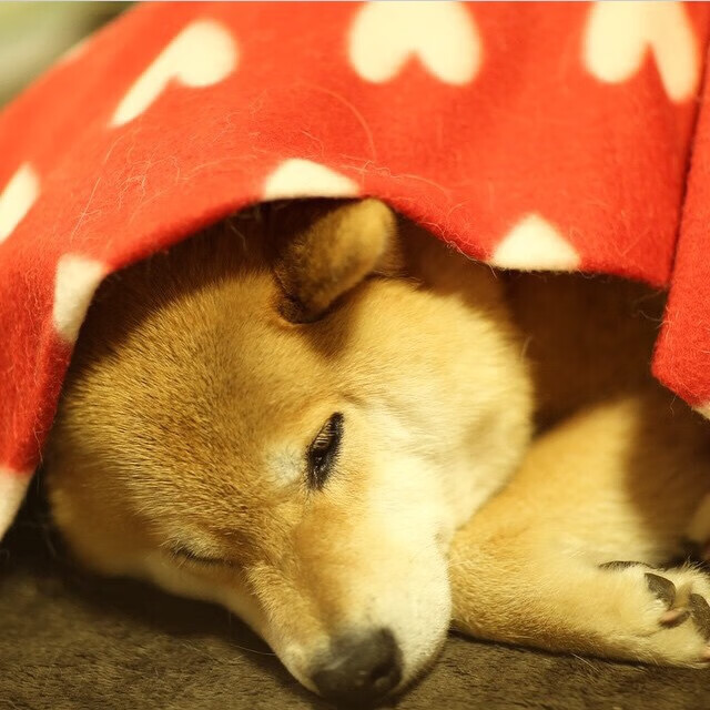 奥运周期关键战之夜，当蓝色绸缎披上历史，福登在温布利完成新王加冕