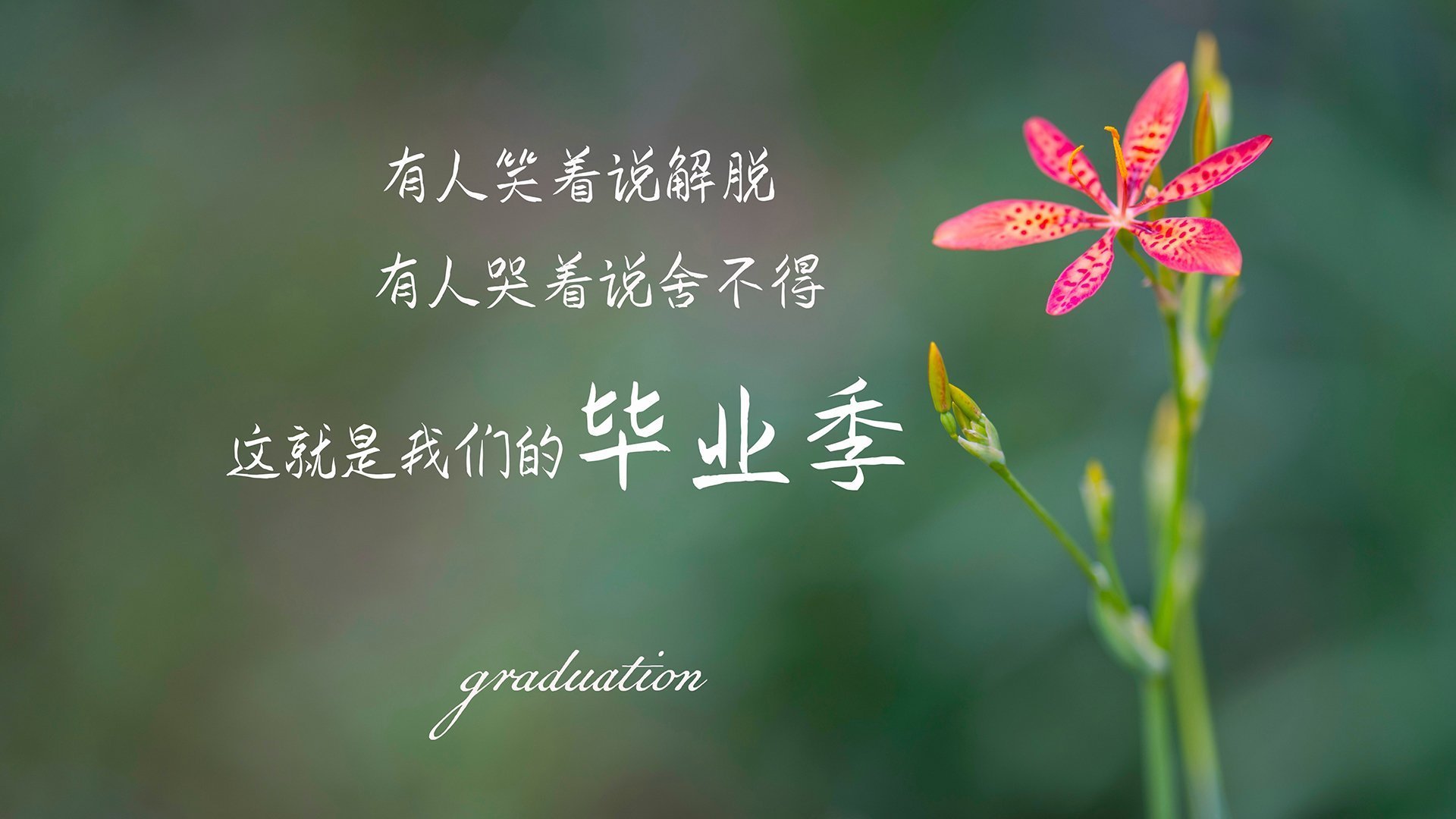 爱游戏在线-不可思议的A组之夜，当印度足球在2026世界杯上颠覆哥伦比亚，吉鲁的最后一舞惊艳世界
