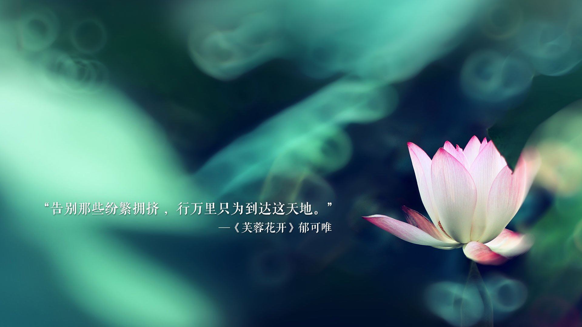 2026世界杯H组绝唱,斯洛伐克逆转伊朗,孙兴慜在质疑声中完成致命一击